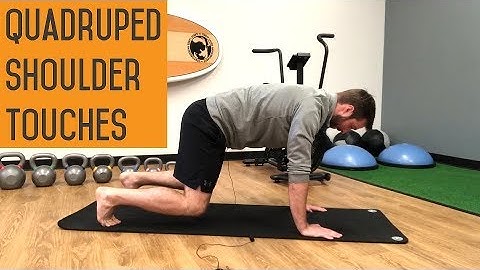 Quadruped Shoulder Touches | Plank Progressions