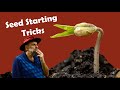 10 seed starting tricks i used to germinate 2000 different plants