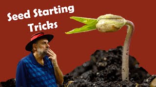 10 Seed Starting Tricks I Used to germinate 2,000 Different Plants by Garden Fundamentals 115,039 views 1 month ago 23 minutes