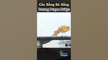 Cầu Rồng Đà Nẵng | Daily Life TF