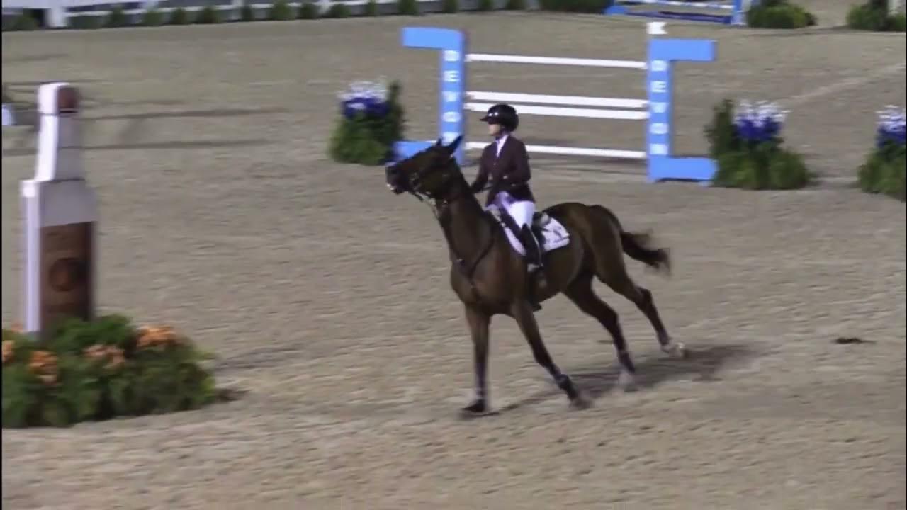 Falcon De Hus Z CSI4* Devon Horse Show Idle Dice Jumper Stake 1.50m