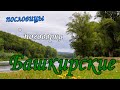 Башкирские пословицы и поговорки