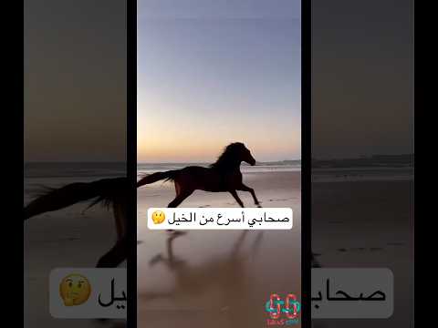 صحابي أسرع من الخيل    اكسبلور معلومات السعودية