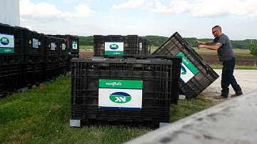 Breaking down seed/grain boxes.