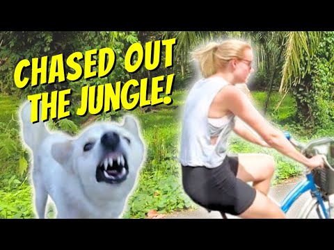 🇹🇭 Our SCARIEST moment in THAILAND yet! Exploring the JUNGLE in Chumphon! 🚲