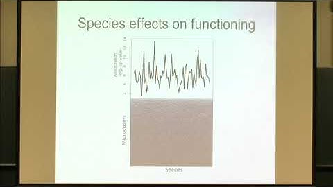 Prof. Thomas Bell | Plenary Lecture 3: Bacterial interactions in synthetic communities and in th...