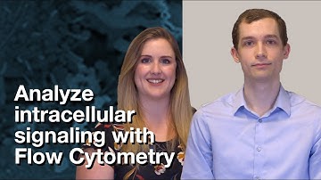 Experimental Design: Analyze intracellular signaling with Flow Cytometry | CST Tech Tips