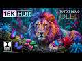 Animal Planet in 16K HDR Dolby Vision 120FPS 🐆 | ULTRA OLED Demo (4K/8K TV)