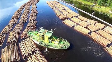 Transporting Timber on the River ! Amazing Wood Logging and Transportation Process Inquisitive World