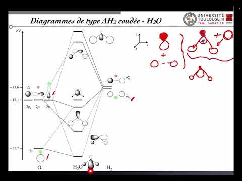 Vidéo: Caractéristiques Morphologiques Et Moléculaires De Malayfilaria Sofiani Uni, Mat Udin & Takaoka Ng, N. Sp. (Nematoda: Filarioidea) De L'arbuste Commun Tupaia Glis Diard &a