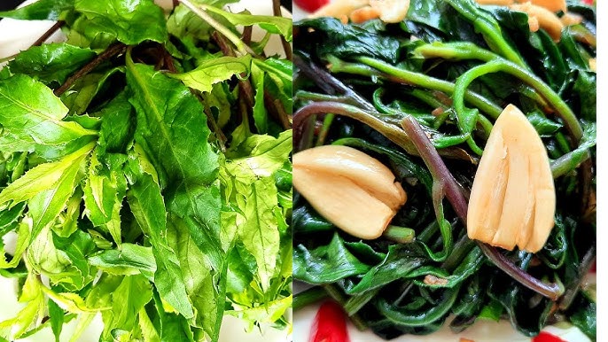 Phương pháp chế biến Rau Lủi đúng cách