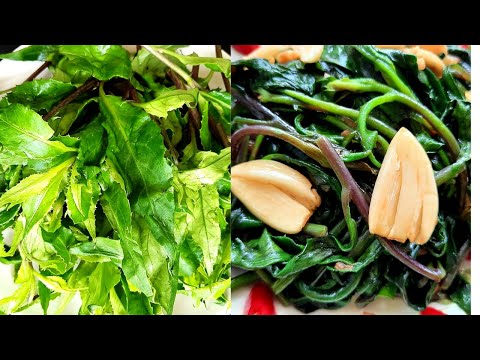 Video Rau Lủi Rừng Gia Lai Xào Tỏi || Thơm ngon, giòn ngọt... - youtube