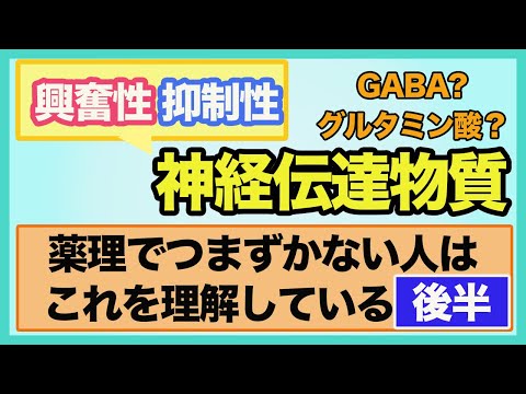 [薬学生×看護学生]コレを理解すると薬理の〇〇が簡単に！？興奮性・抑制生神経伝達物質の伝導と伝達を徹底解説！