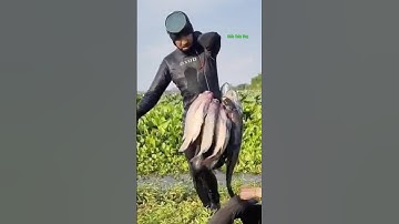 Cá Lớn - cá của ai mới Khủng vậy anh bạn 😱 #khacthuyvlogg