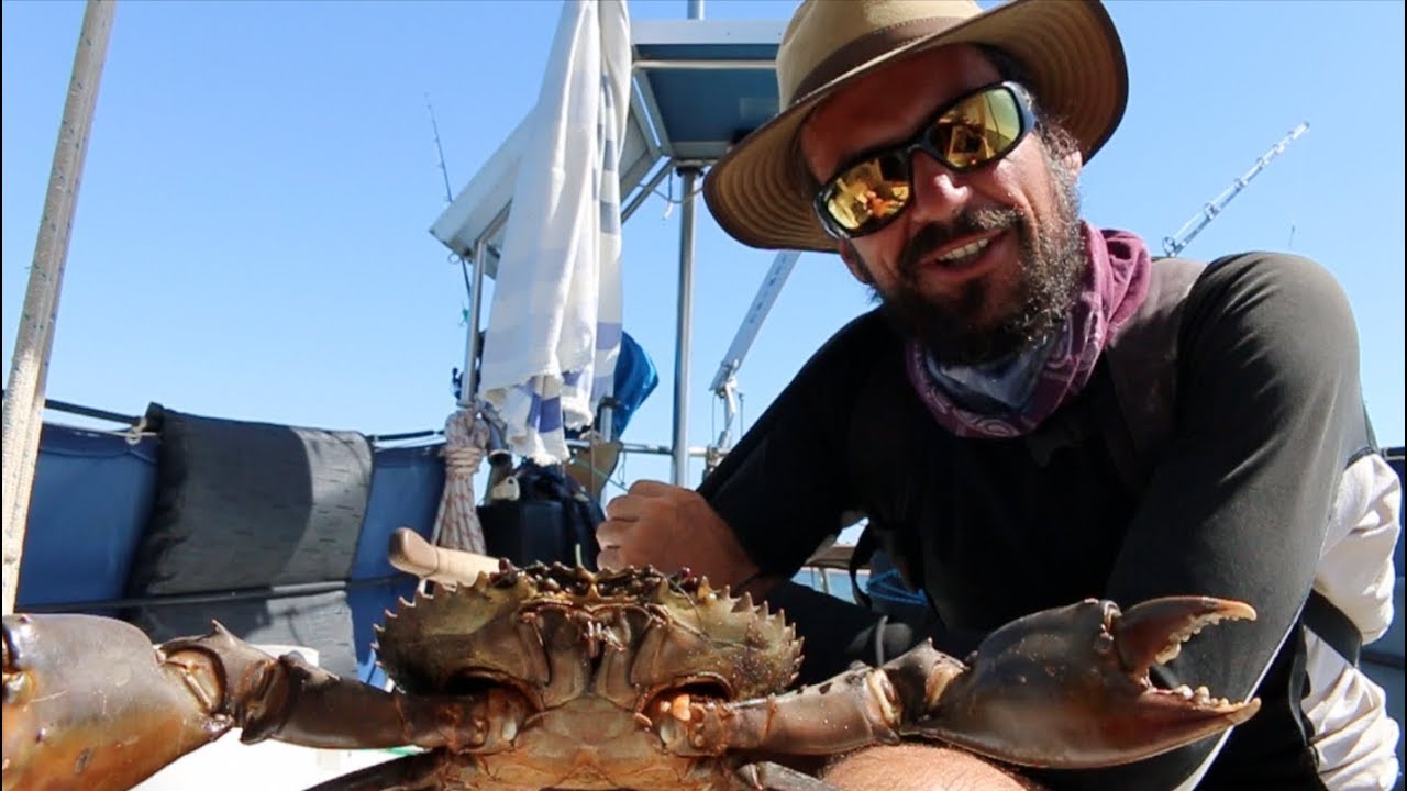 Mud Crab Catch and Cook (bare hands edition) – Free Range Sailing Episode 20