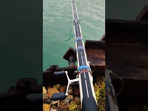 aria italica pesca
