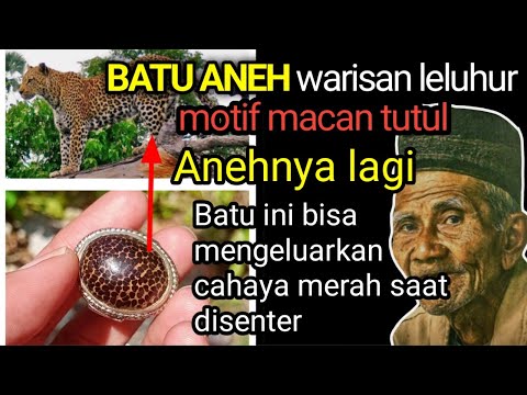 MANFAAT BATU AKIK BULU MACAN. 