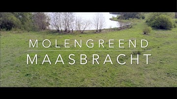 DroneView4k - Molengreend - Maasbracht part 1 - Cinematic - Parrot Anafi Drone