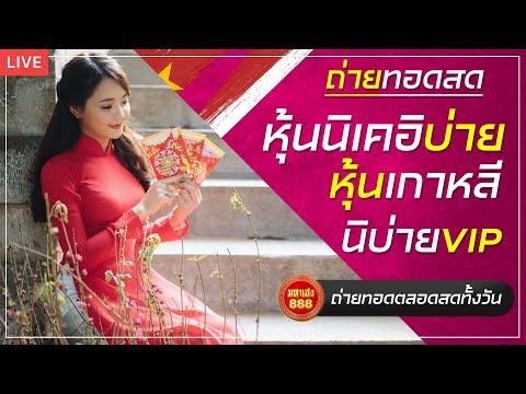 🔴LIVE  นิบ่ายปกติวันนี้/เกาหลีปกติวันนี้/นิบ่ายVIPวันนี้ วันที่ 13 ตุลาคม2566