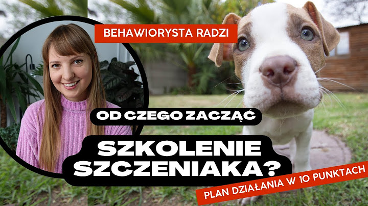 SZKOLENIE SZCZENIAKA - od czego zacząć? Plan działania w 10 punktach!