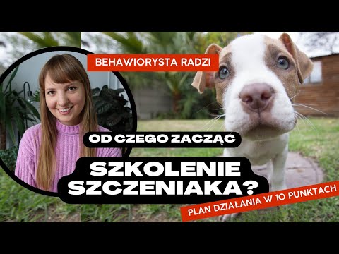 Wideo: Skandynawskie Rasy Psów