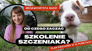 SZKOLENIE SZCZENIAKA  od czego zacząć? Plan działania w 10 punktach!