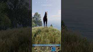 Horse Bug On New Gen Rust (RCE) #rustconsoleedition #newgenrust #bug