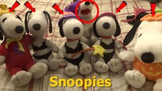 My Snoopy Plush Toy Collection (Clothing)