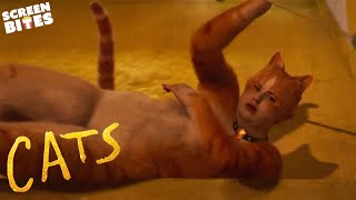 Rebel Wilson's Extravagant Performance In Cats | Cats Movie | Screen Bites