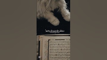 حلات وتس اب قرآن كريم بصوت جميل سيجعل الله بعد العسر يسرا #اكسبلور #لايك