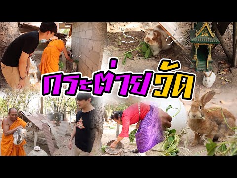 วัดกระต่าย |  อัศจรรย์ไทยแลนด์ ว้าว!  ประเทศไทย