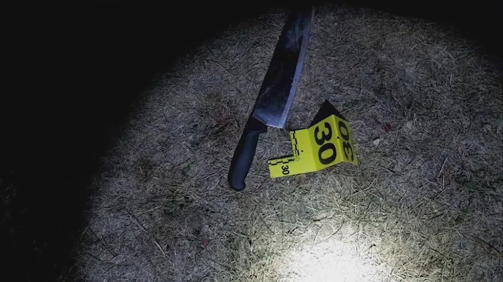 Chicago police fatally shoot man who lunged at officer with knife: officials