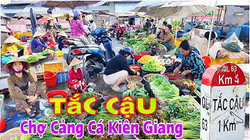Khám Phá Chợ Tắc Cậu - Chợ Cảng Cá Cặp Bên Sông Cái Bé Kiên Giang | Lâm Ái 68