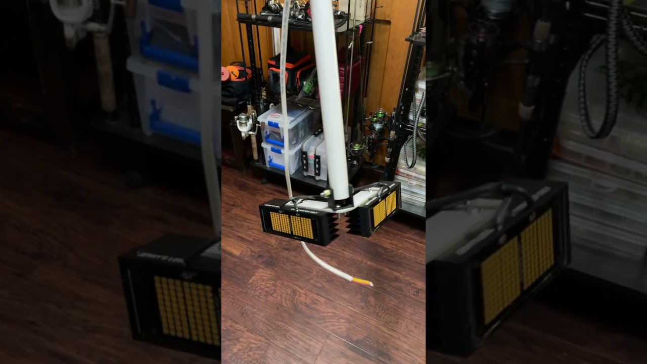 Jerry’s LEDs 336v ultimate flounder light. 