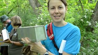 Ontario Bioblitz Backyard Biodiversity - Mammal Live Traps