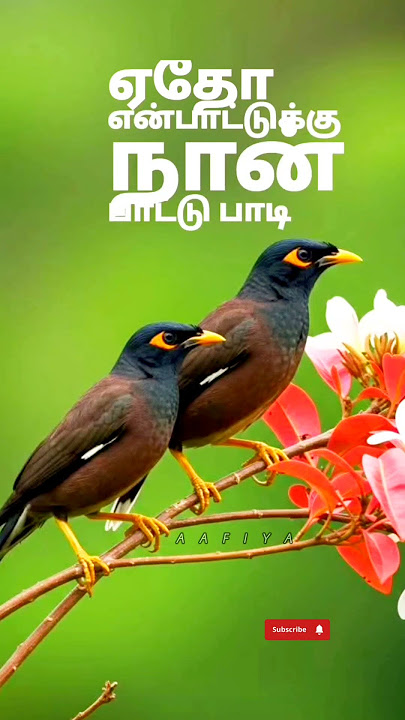 #song #oldisgoldsongs #shortsviral #80smusic #80s #90s #tamilsong