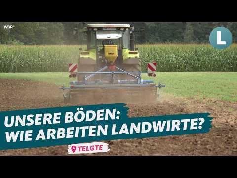 Der große Vergleich:
