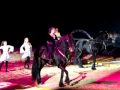 Horse Evolution Show (2009.nov.14. Debrecen,Hungary) / 5.