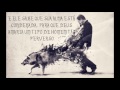 Shawn James/Son of the wolf (tradução)
