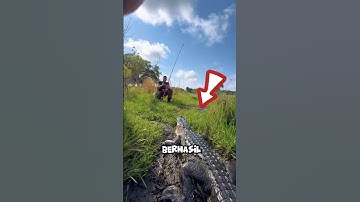 Biasanya orang memancing ikan pria ini justru mancing buaya🤣