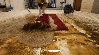 Resurrecting Elegance: The Epic Cleaning of a MudCaked Shaggy Rug | Satisfying ASMR Carpet Cleaning