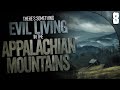 Disturbing entity in the appalachian mountains  8 true stories of the unexplained