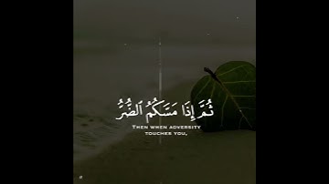 سورة النحل | القارئ محمد كمال هاشم