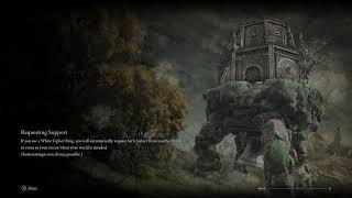ELDEN RING CO-OP RANDOMIZER | USE WHAT YOU GET