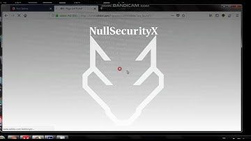 Reflected XSS Found on Adidas Website – Exploit Demo