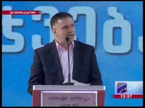 ნაციონალური მოძრაობის ყრილობა,  ბიბილაშვილის გამოსვლა 20.01.17 წ.