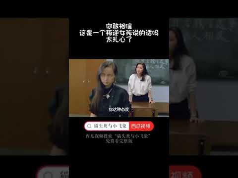 猫头鹰小飞象