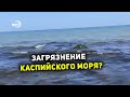 Громадное темное пятно появилось в Каспийском море