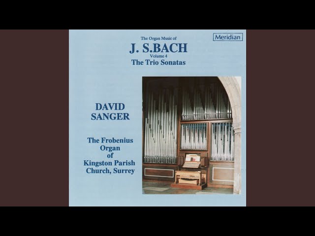 Ludger Lohmann - Sonata G BWV 530 I