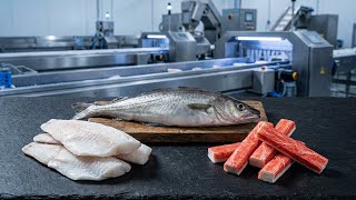 How Pollock Becomes IQF Fillets & Crab Sticks | Modern Seafood Factory Process